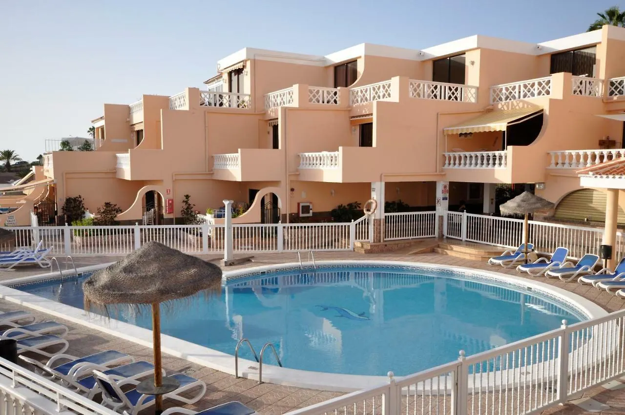 Paradise Court Las Americas Wifi Piscina 26 Costa Adeje  Spanje